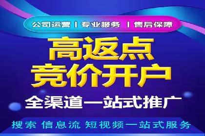 行业领先的SEM优化案例：提升品牌曝光率